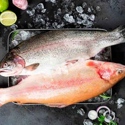 Охлаждённая рыба