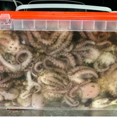 Осьминоги в масле с зеленью (уп 1,9 кг) Осьминоги в масле с зеленью (уп 1,9 кг)