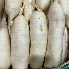 Дайкон (цена за 1 кг, заказ от 0,5 кг)