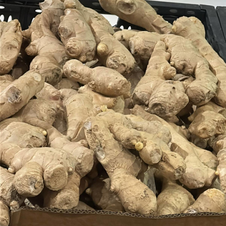 Имбирь (цена за 1 кг, заказ от 0,3 кг)