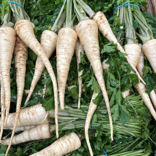 Корень петрушки (цена за 1 кг, заказ от 0,5 кг)