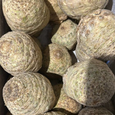 Корень сельдерея (цена за 1 кг, заказ от 0,3 кг)