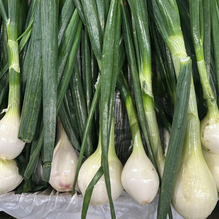 Лук головка (цена за 1 кг, заказ от 0,5 кг)