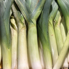 Лук порей (цена за 1 кг, заказ поштучно)
