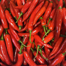 Острый перец (цена за 1 кг, заказ от 0,2 кг)