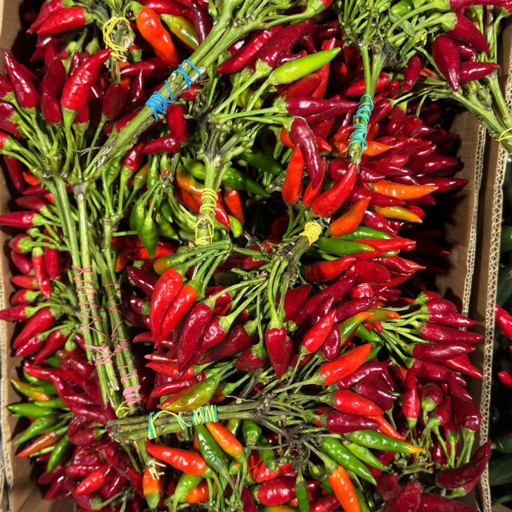 Перчик острый цена за 1 шт, (пуч +- 0,15 кг)