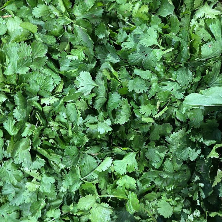 Петрушка (пуч +- 350 гр)