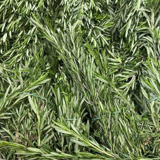 Розмарин (цена за 1 кг, пуч +- 0,15 кг)