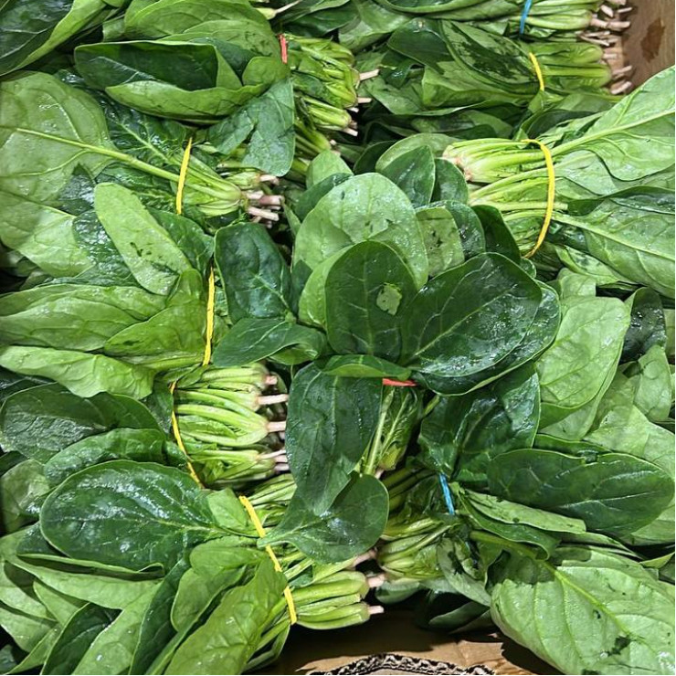 Шпинат (цена за 1 кг, пуч +- 0,2 кг)