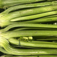 Стебли сельдерея (цена за 1 кг, заказ поштучно)