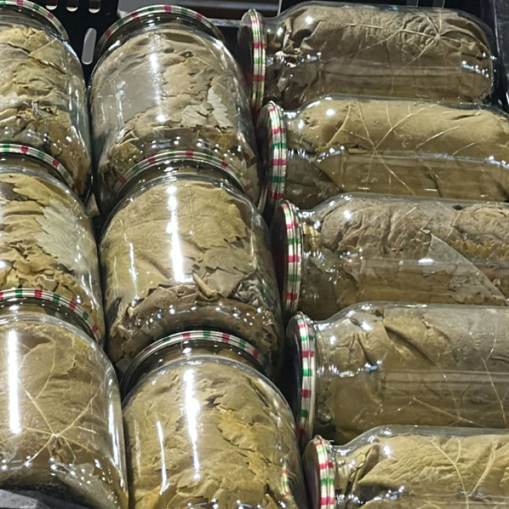 Виноградные листья (цена за 1 шт)