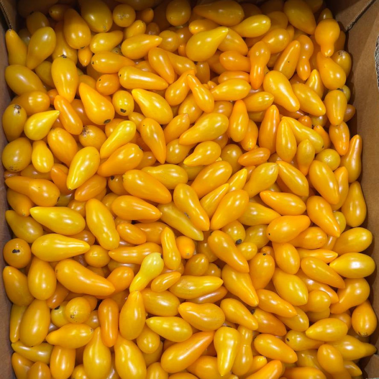 Черри пуля чёрный глаз (цена за 1 кг)