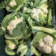 Капуста цветная (цена за 1 кг, заказ поштучно)