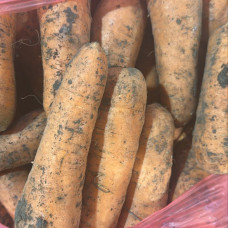 Морковь (цена за 1 кг)