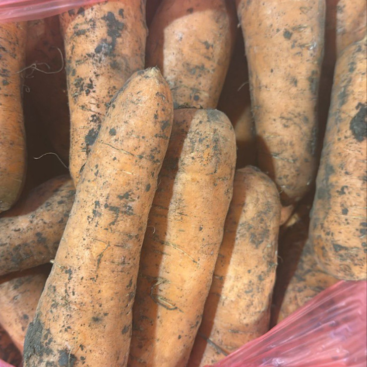 Морковь (цена за 1 кг)