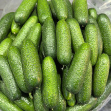 Огурцы Луховицкие (цена за 1 кг)