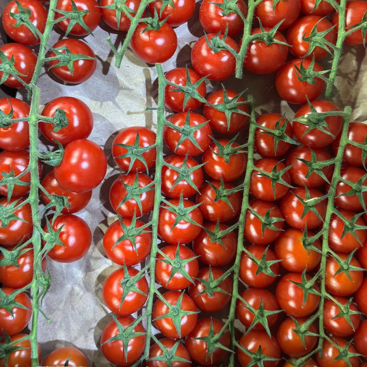Помидоры черри на ветке (цена за 1 кг)