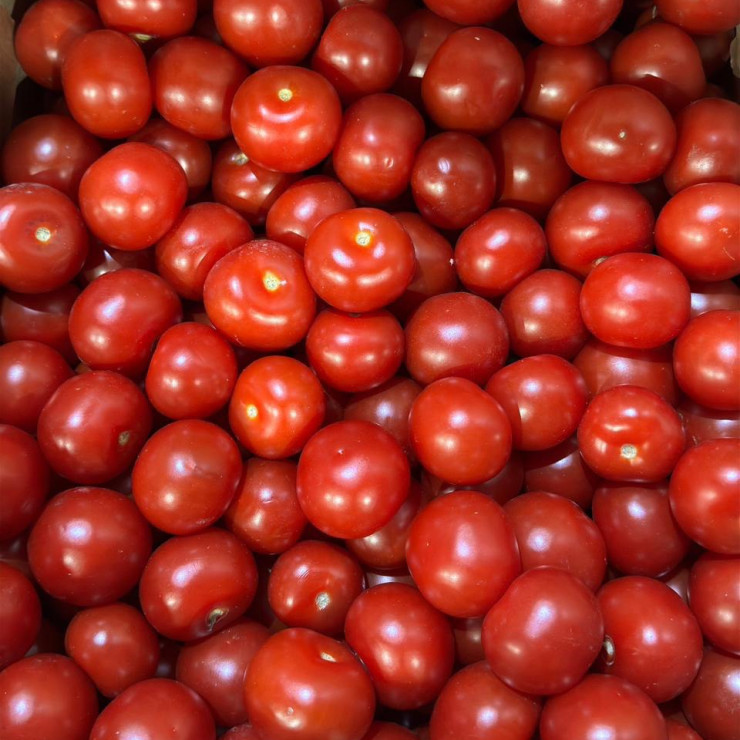 Помидоры коктейльные (цена за 1 кг)