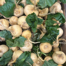 Репа (цена за 1 кг)