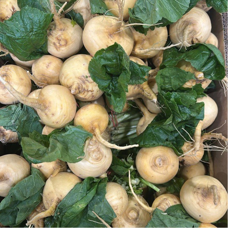 Репа (цена за 1 кг)