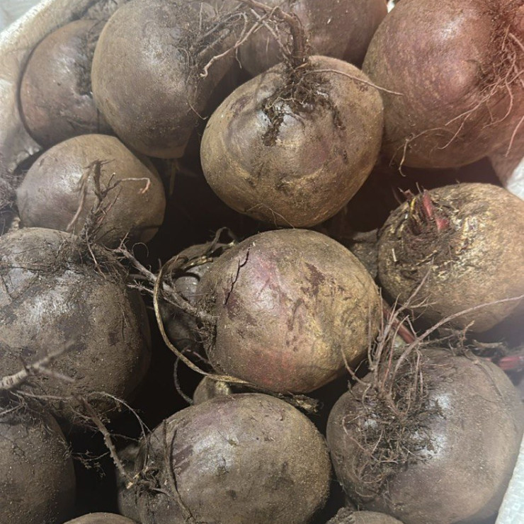 Свекла (цена за 1 кг)