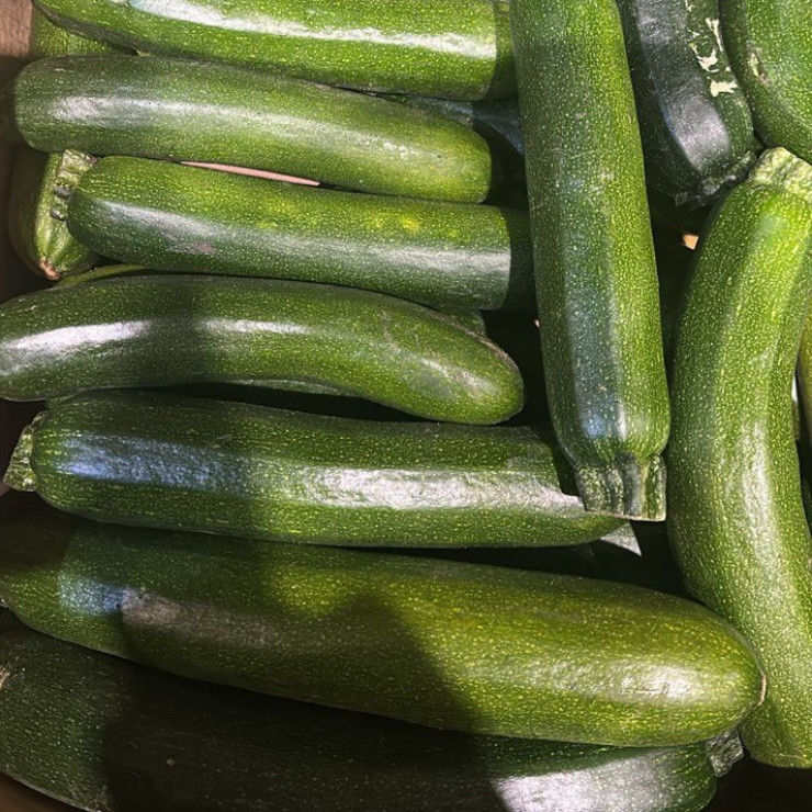 Цукини (цена за 1 кг, заказ от 0,5 кг)
