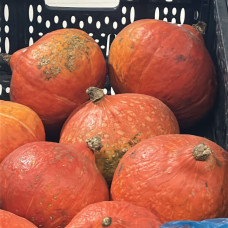 Тыква (цена за 1 кг, заказ поштучно)