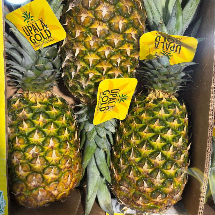 Ананас Коста Рика (1 шт)