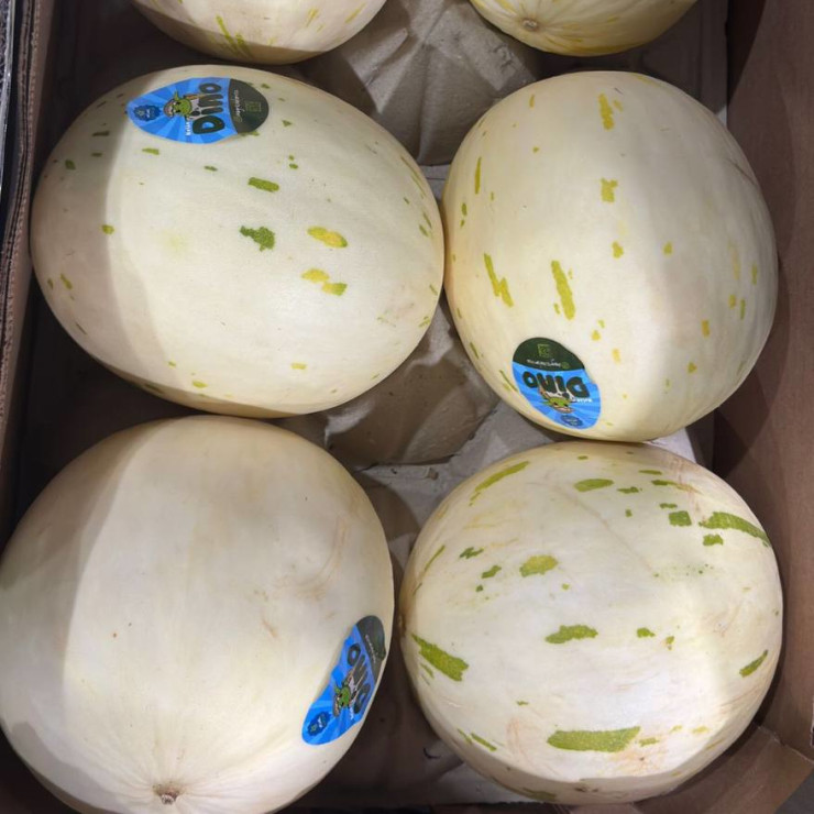 Дыня молочная (1 шт)