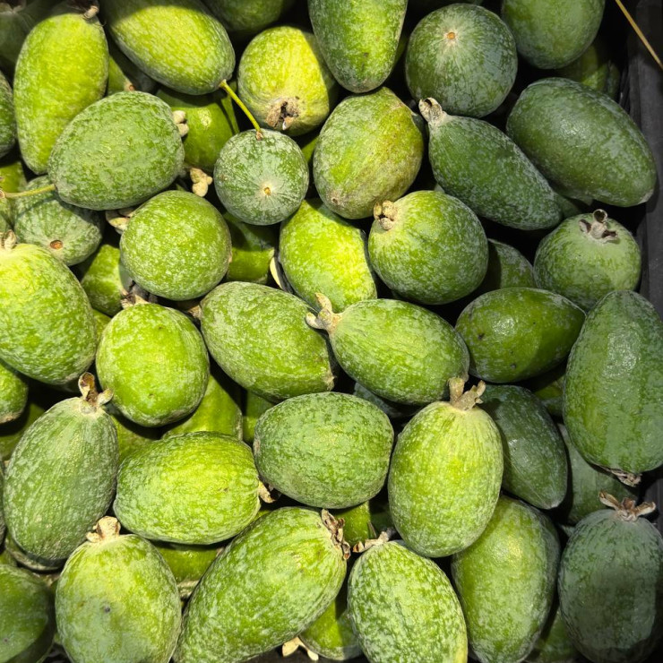 Фейхоа (1 кг)