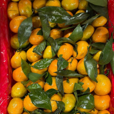 Мандарины бейби (1 кг)