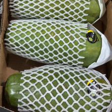 Папайя (1 шт)