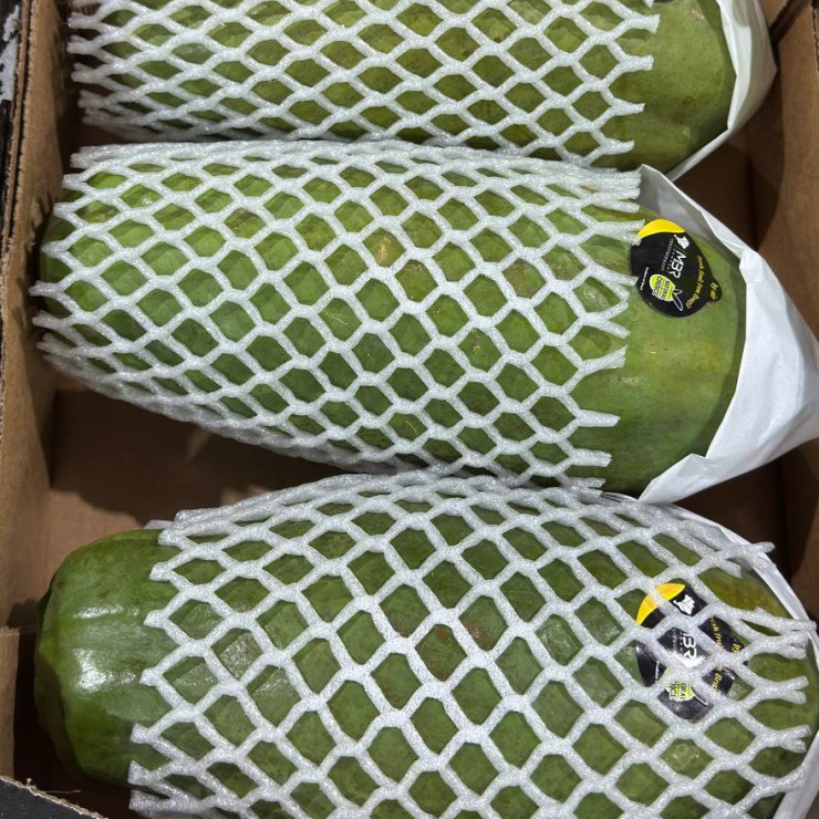 Папайя (1 шт)