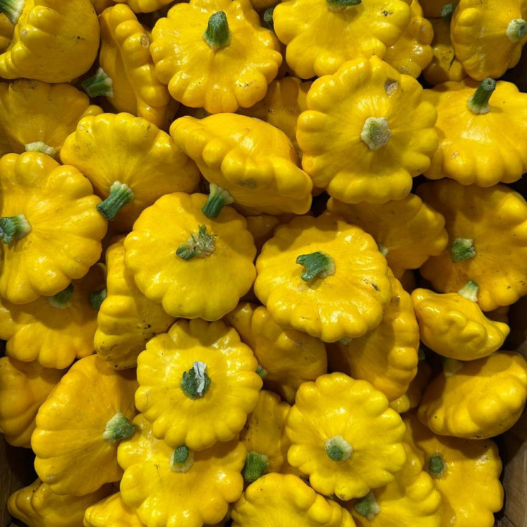 Патиссоны мини (1 кг)