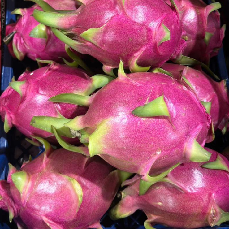 Питахайя белая (зена за 1 кг, заказ поштучно) Питахайя белая (зена за 1 кг, заказ поштучно)