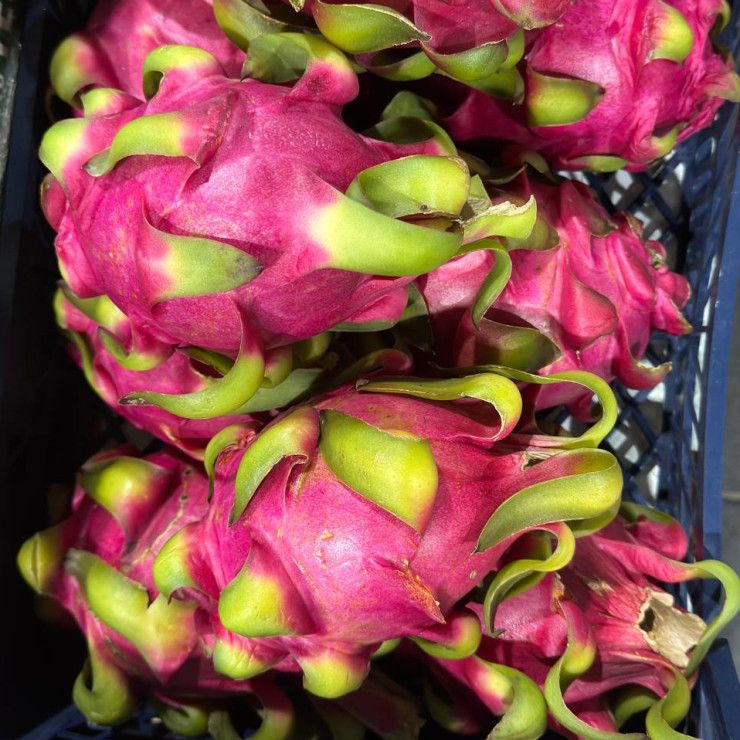 Питахайя красная (цена за 1 кг, заказ поштучно)