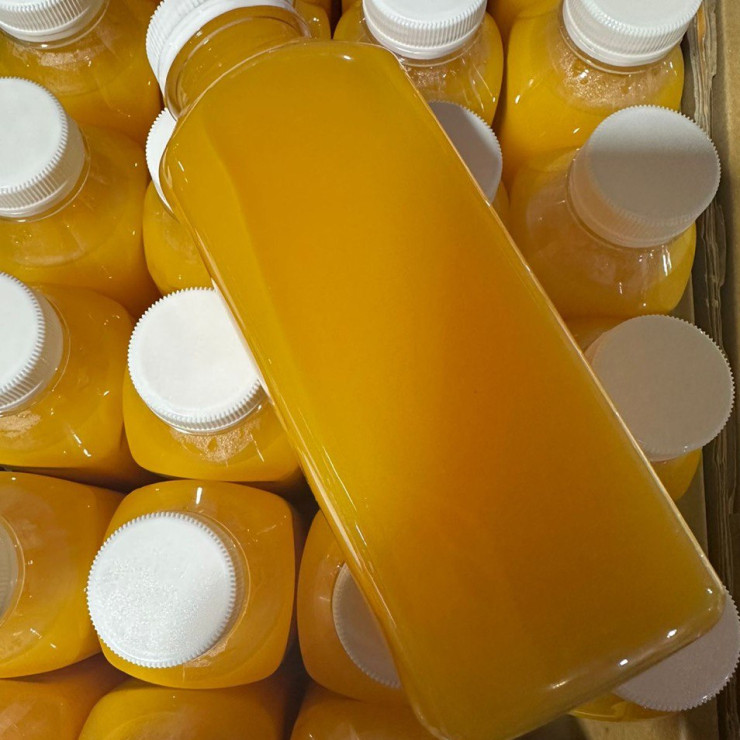 Сок манго (0,5 л)