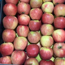 Яблоки Медовый хруст (цена за 1 кг)