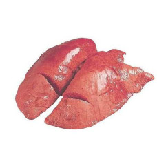 Говяжье лёгкое (1 кг)