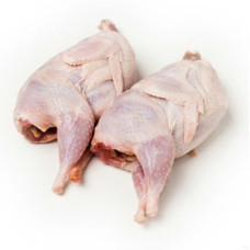 Перепелка домашняя крупная (уп - 5 шт) Перепелка домашняя крупная (уп - 5 шт)