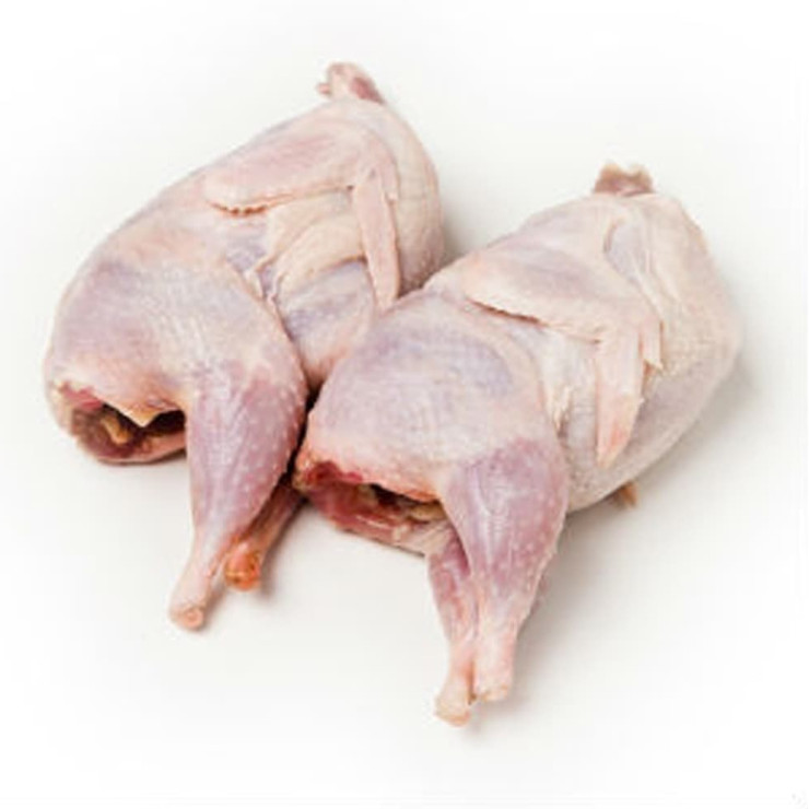 Перепелка домашняя крупная (уп - 5 шт)