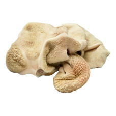 Рубец говяжий (1 кг)