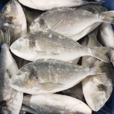 Дорадо (цена за 1 кг, заказ поштучно)