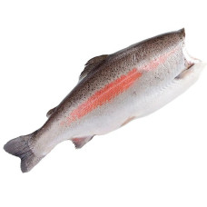 Форель б/г с/м 2.7-3.6 кг (цена за 1 кг, заказ поштучно)