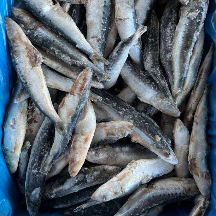 Иваси н/р (цена за 1 кг, заказ от 0,5 кг)