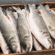 Сибас (цена за 1 кг, заказ поштучно) Сибас (цена за 1 кг, заказ поштучно)